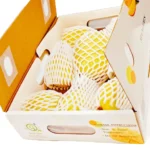 Alphonso Mango - Image 6