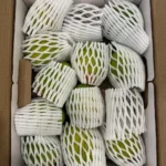 Alphonso Mango - Image 4