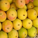 Alphonso Mango - Image 2